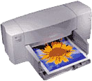HP DeskJet 810C